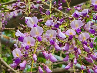 20240420_111059.jpg