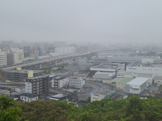 20240430_061828.jpg