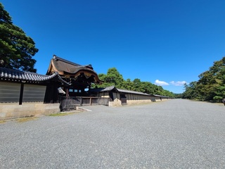 20241013_103047[1].jpg