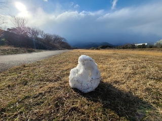 20250222_153801.jpg