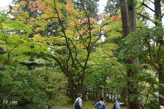 DSC_0261.jpg