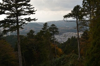 DSC_0313.jpg