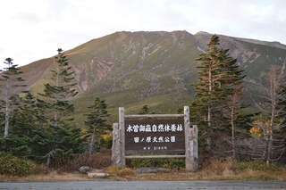 DSC_0316.jpg