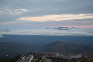 DSC_0323.jpg