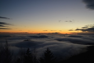DSC_0325.jpg