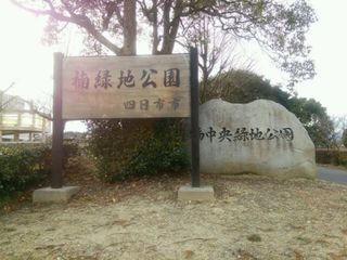 DSC_3119.JPG
