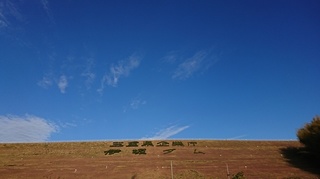DSC_3283.jpg