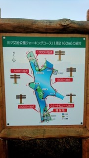 DSC_3418~2.JPG
