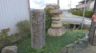 DSC_3454.JPG