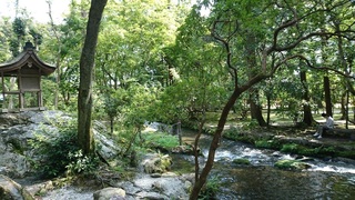 DSC_6093.jpg