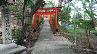 DSC_6096.jpg