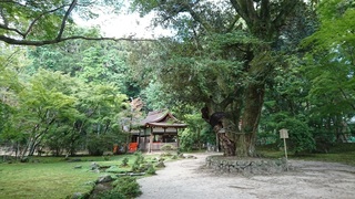 DSC_6100.jpg